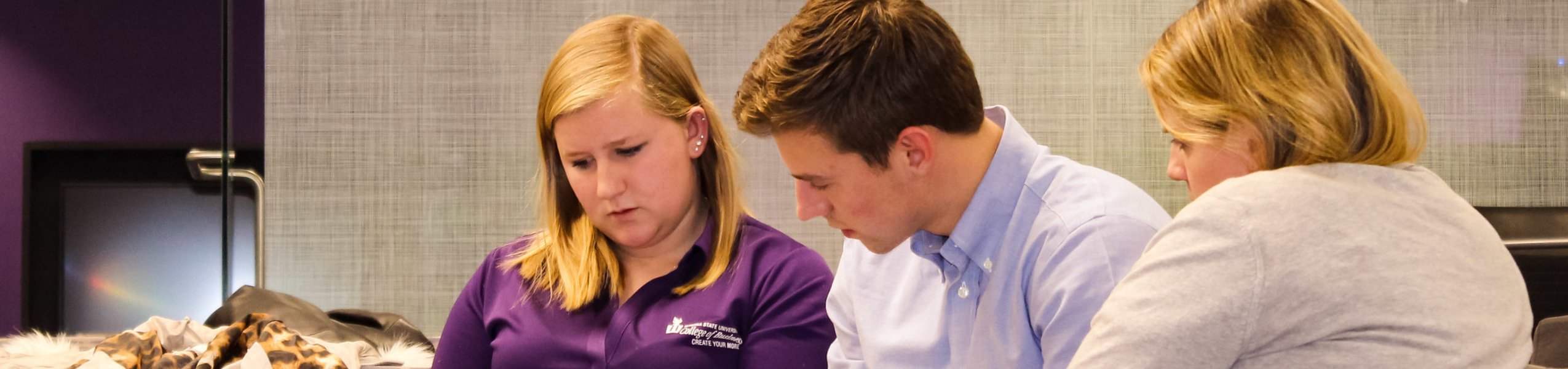 Business - MIS Program Image